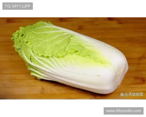 最新白菜网白菜报价，助您轻松选购新鲜蔬菜